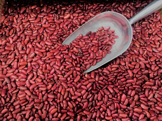 červené fazole.jpg
